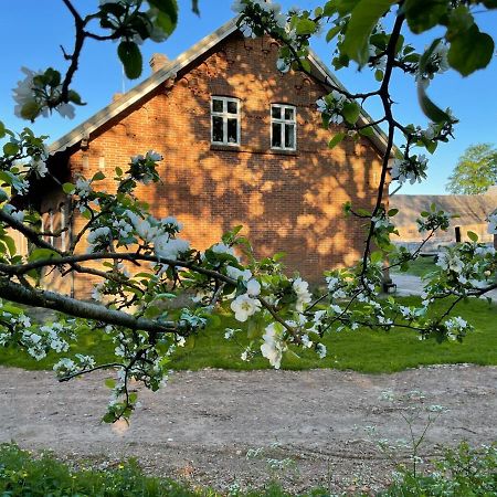 Store Stensig Frederikshavn Exteriör bild